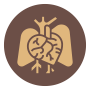 Pulmonary Conditions for Lung Transplant