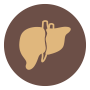 Hepato-biliary Conditions for Liver Transplant
