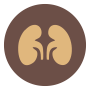 Chronic Kidney Disease