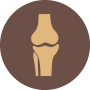 Bone and Connective Tissue Disorders