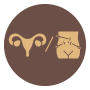 Uterine Fibroids