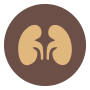 Renal Conditions for Kidney Transplant