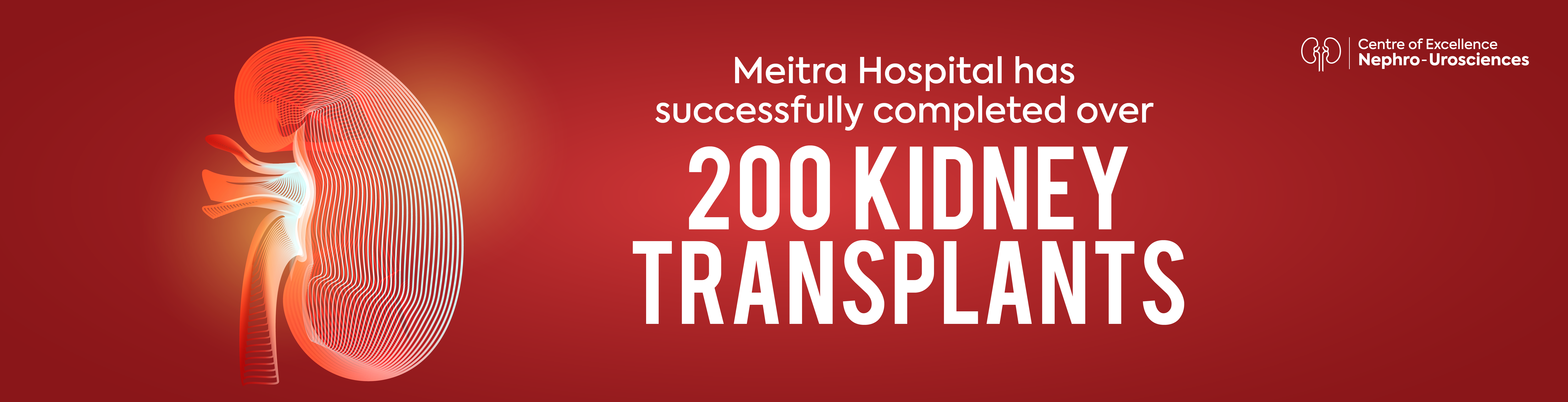 Kidney Transplant