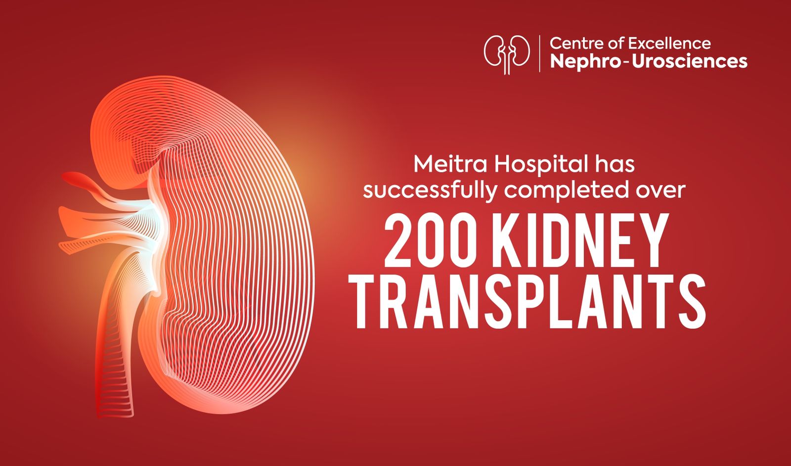 Kidney Transplant